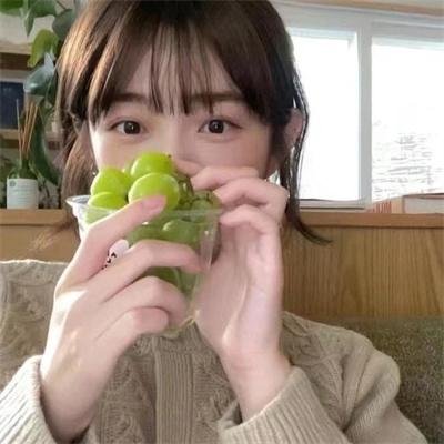 烽火田园海报