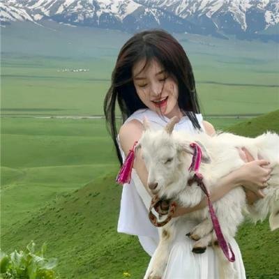 我的抓狂友海报