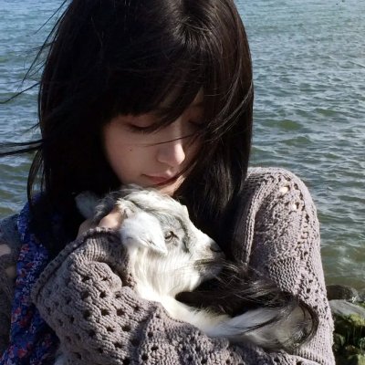 壳中少女 压缩海报